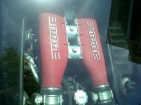 IMG00360-20110604-1325.jpg