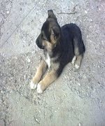 221220111341.jpg