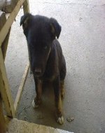 221220111339.jpg
