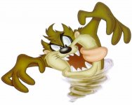 taz.jpg
