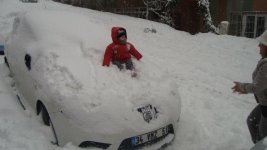 cupra.jpg