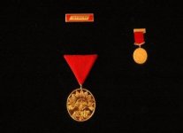 antepe-gazilik-unvani-verilisinin-91_yildonumu-IHA-20120207AY515754-2-t.jpg