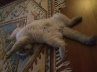 IMG_1638.JPG