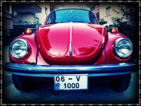 06 V 1000.jpg