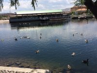 IMG-20160605-WA0044.jpg