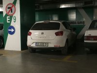 IMG_5038.JPG