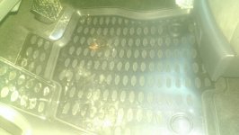 IMAG0956.jpg