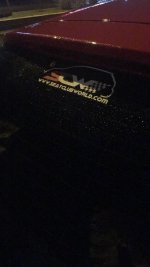 IMG_2244.JPG