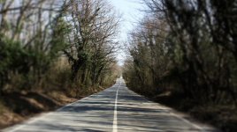 IMG_0002.JPG