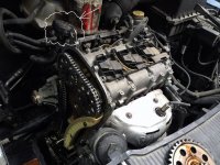 seat_ibiza.jpg
