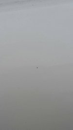 20180404_183603.jpg