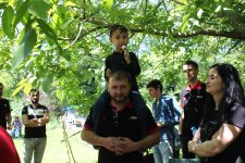 IMG_8071.jpg