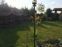 IMG-20180904-WA0038.jpg