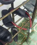 IMG-20181012-WA0015.jpg