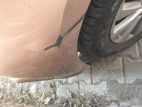 IMG_8422.JPG IMG_8422.JPG