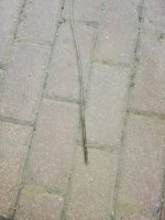 IMG_20201013_090535.jpg