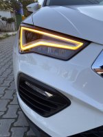 Image1620903698.765377.jpg Image1620903698.765377.jpg