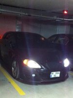 IMG_2128.jpg