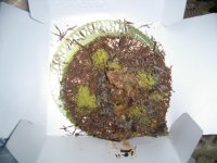 PIC_0765.jpg