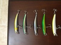 youzouripinsminnow90 (1).jpg