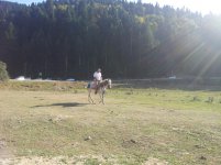 IMG_20120930_160759.jpg