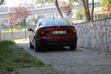 IMG_1135.jpg