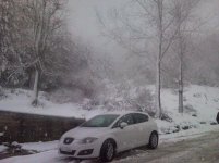Fotoğraf0251.jpg