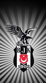 bjk12.jpg