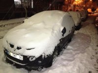 IMG_0415.jpg