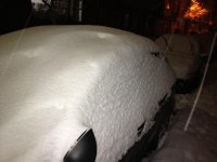 IMG_0417.jpg