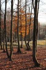 hendekten-son-bahar-manzaralari-p6-aid,59.jpg