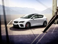 2013seatleoncupra (1).jpg
