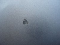 dsc04841z.jpg