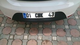 zozh.jpg