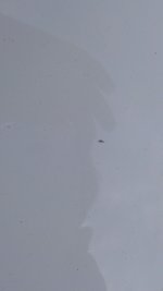 IMAG0186.jpg