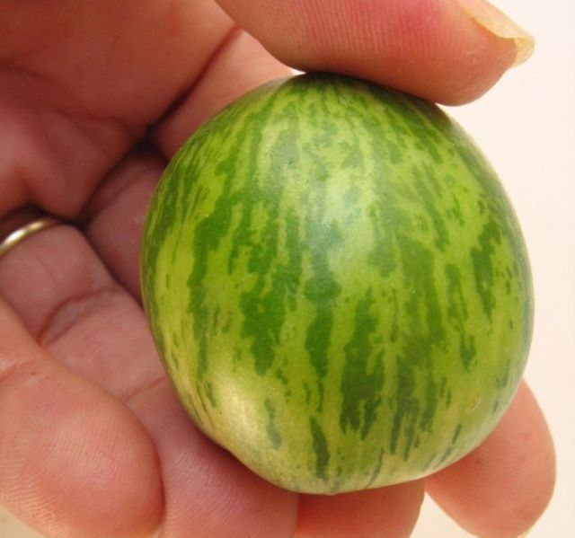 interesting_fruit_00.jpg